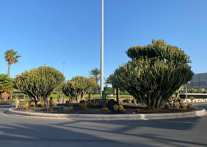 La Sal Marina 2A
